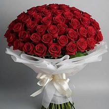 Букет 101 Красная роза Блэк Мэджик в Реммаш