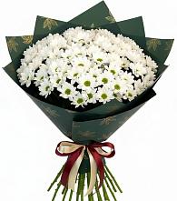 Букет цветов из:  Хризантемы #REPLACE_PRED# Реммаш