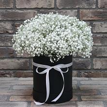 Цветочная композиция из Гипсофила в шляпной коробке в Реммаш