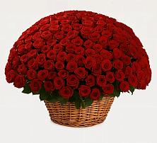 Премиум букет из: Розы в Реммаш